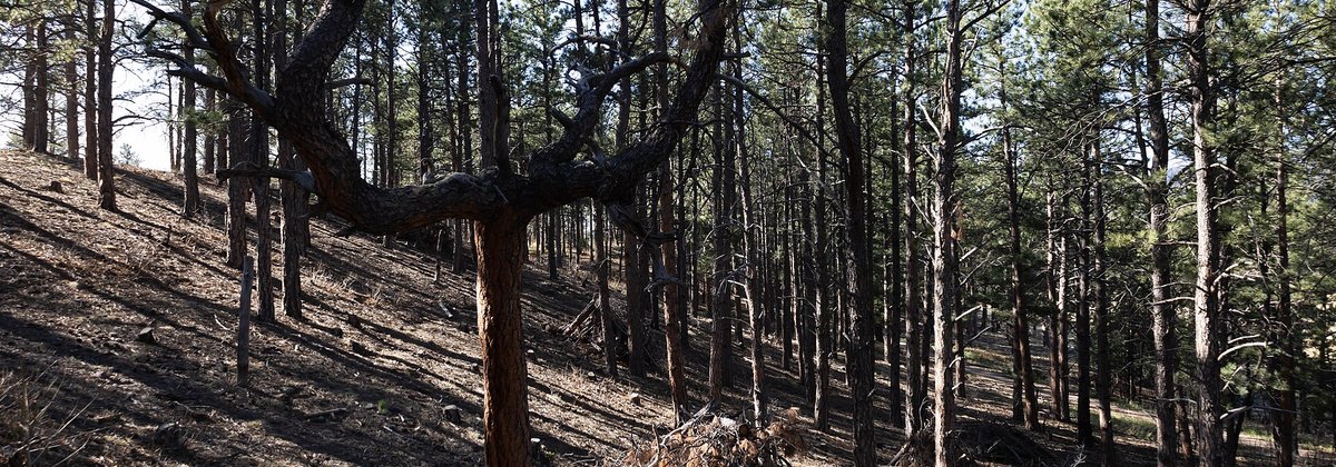 Monument, Colorado