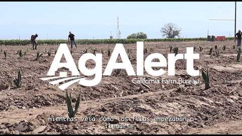 Still frame from &ldquo;Researchers study potential of agave crop | Ag Alert&rdquo;